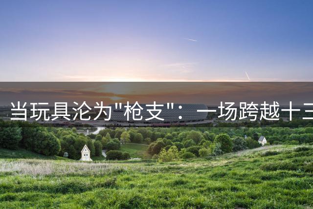 当玩具沦为"枪支"：一场跨越十三年的法律困境