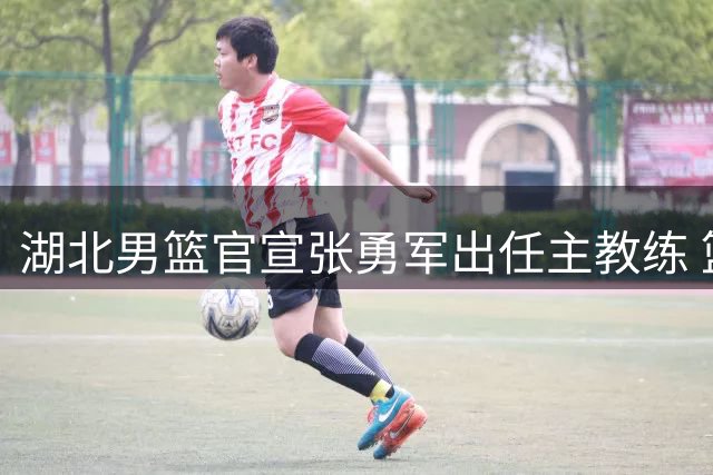 湖北男篮官宣张勇军出任主教练 篮球名宿返乡执教